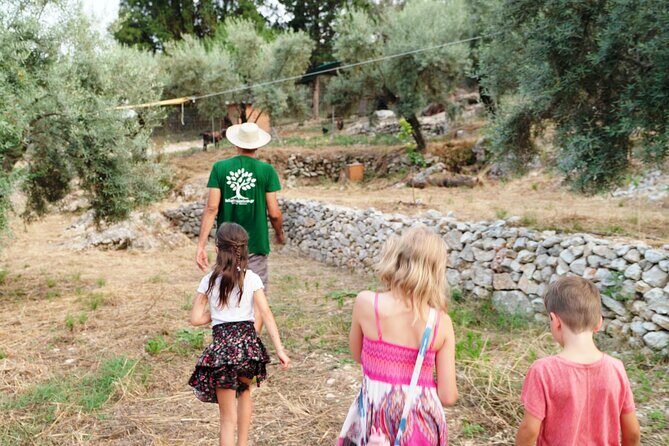 The Olive Oil Experience @ Lefkada Micro Farm - Price and Value: Is $62.48 Fair?