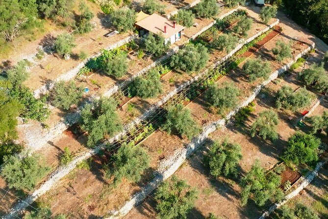 The Olive Oil Experience @ Lefkada Micro Farm - Who This Tour Is Best For