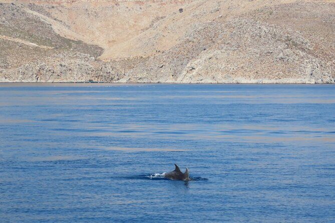 The Santa Maria 3 Island Cruise in the Aegean w/ Free Audio Guide - Santa Maria 3: A smaller Aegean day (not a floating theme park)