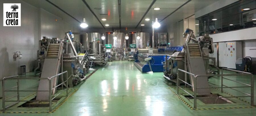 The Terra Creta Olive Oil Experience Tour - Who Will Enjoy This Most—and Who Might Skip