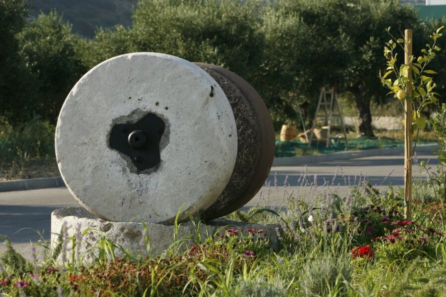 The Terra Creta Olive Oil Experience Tour - Getting to Terra Creta: Meeting Point and the Taxi Reality