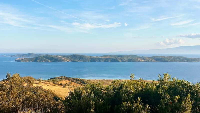 Thessaloniki: Halkidiki, Arnaia, Ierissos – Swim & Tasting - Honey tasting and beekeeping: the small fee that’s worth planning for