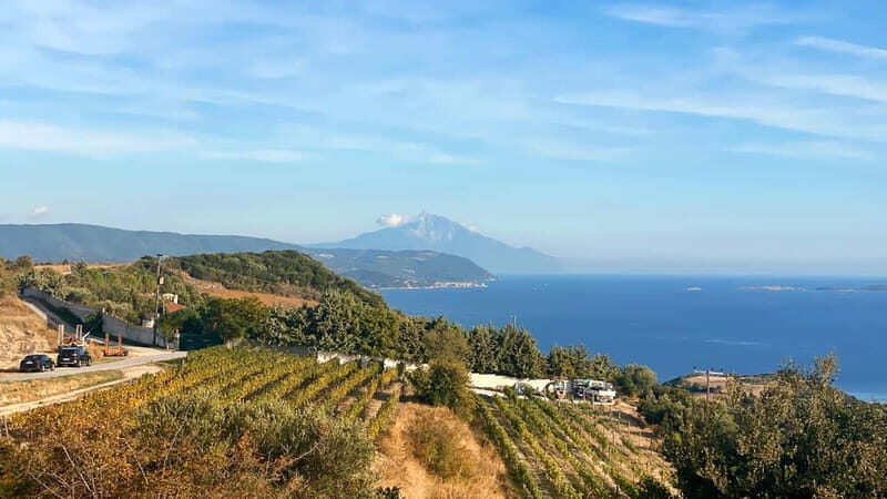 Thessaloniki: Halkidiki, Arnaia, Ierissos – Swim & Tasting - Ierissos Beach for swimming: how to enjoy the 2.75 hours