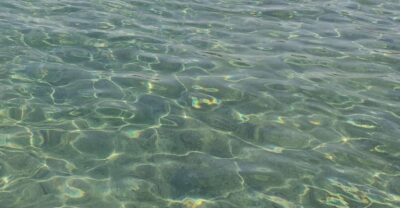 Thessaloniki: Halkidiki Beach-Hopping with Swimming - What the Small Group Changes