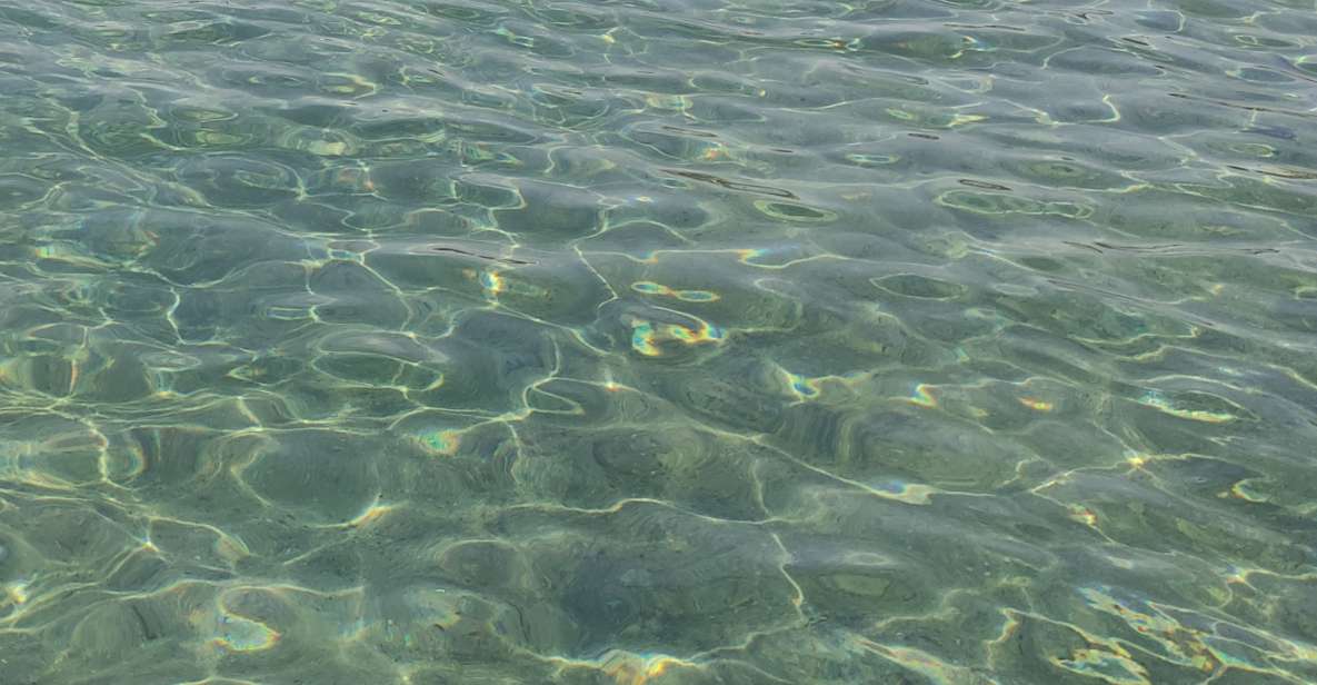 Thessaloniki: Halkidiki Beach-Hopping with Swimming - What the Small Group Changes