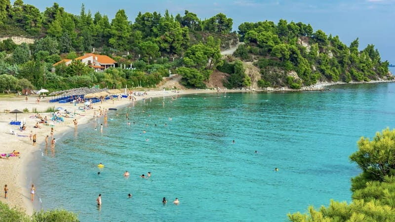 Thessaloniki: Halkidiki/Sithonia Swim, Sunset & Olive Tour - Key highlights that make this day trip work