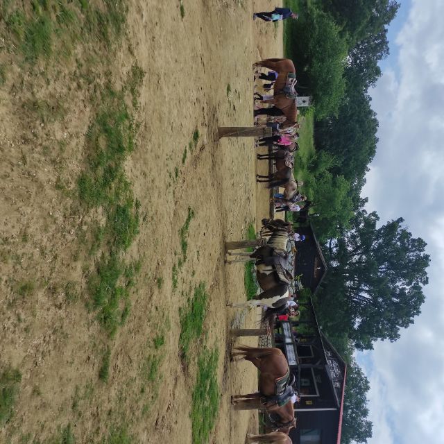 Thessaloniki:Horse Riding in a farm - Key points at a glance