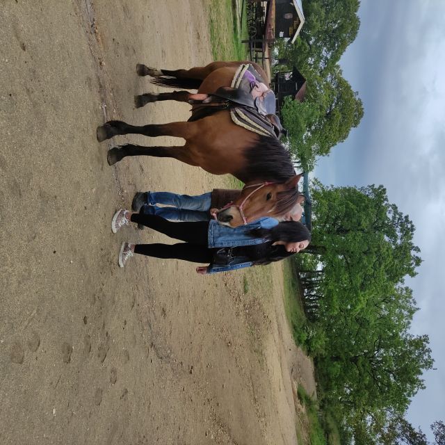 Thessaloniki:Horse Riding in a farm - What the $101 price really covers
