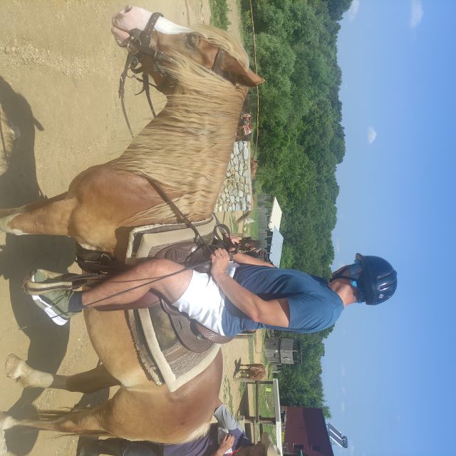 Thessaloniki:Horse Riding in a farm - Who will enjoy this most