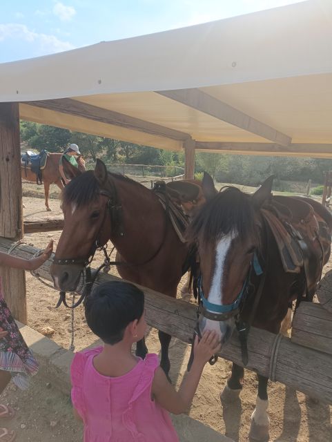 Thessaloniki:Horse Riding in a farm - Meeting Dora and getting oriented