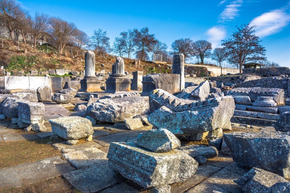 Thessaloniki:Journey Through Ancient Vergina to Sacred Veria - Who should book this experience?