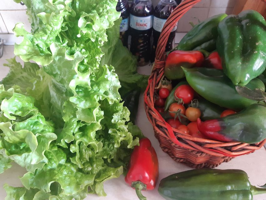 Thessaloniki: Private Greek Cooking Class and Meal at a Farm - Learning the cooking secrets from Maria and Angelos