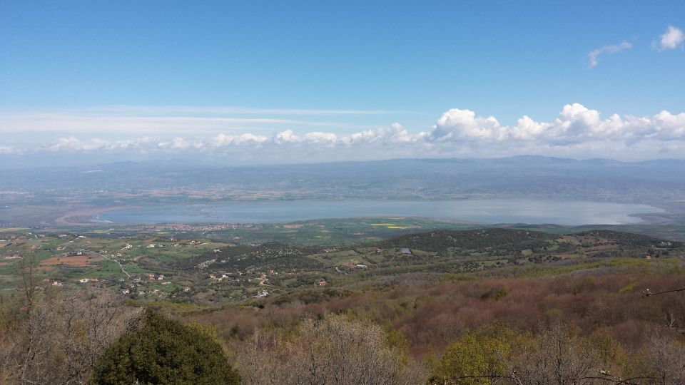 Thessaloniki: Private Mountain and Beaches SUV Safari - From Thessaloniki streets to Mount Chortiatis