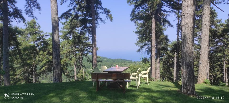 Thessaloniki: Private Olympus, Gorge, Old Panteleimonas - Price and what you actually receive