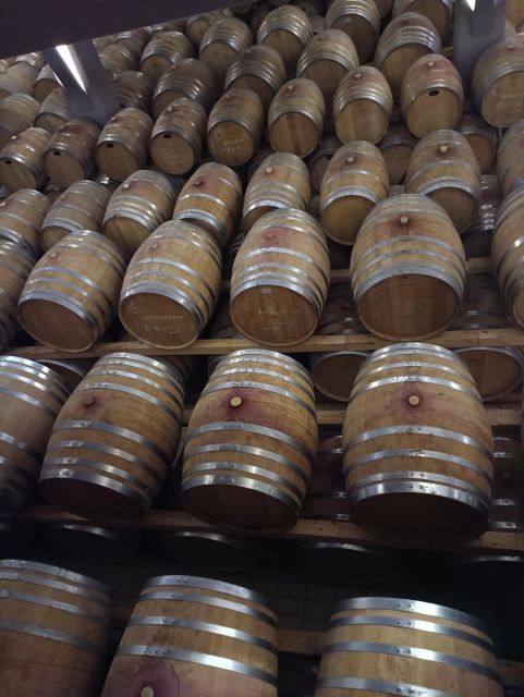 Thessaloniki: Winery Visit with Wine Tasting Experience - Walking through the vineyard and museum
