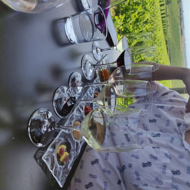 Thessaloniki: Winery Visit with Wine Tasting Experience - Who will enjoy this experience most