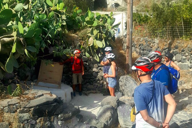 Thirassia 5-Hour eBike Tour with Lunch from Santorini - What the $228.78 price includes
