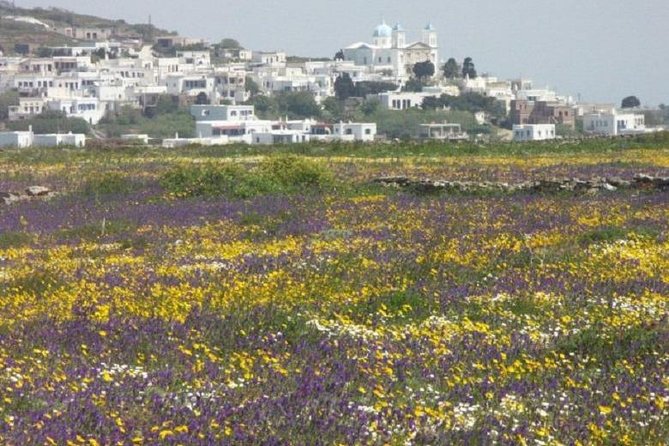Tinos Island Tour from Mykonos - Why Tinos makes a worthwhile day from Mykonos