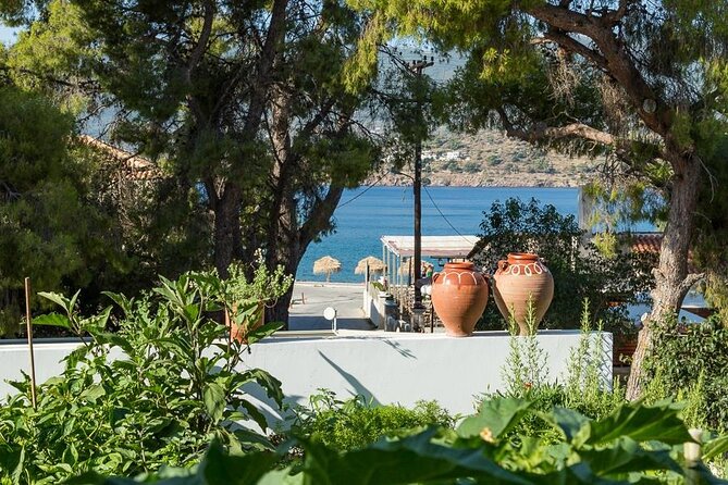 Traditional Greek Cooking Class and Organic Lunch on Poros - Who should book this Poros cooking class