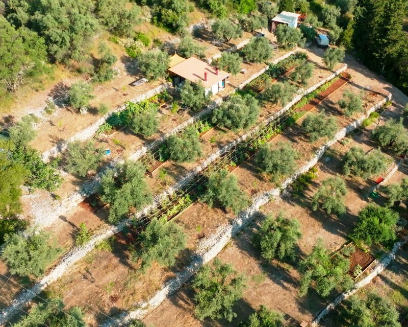 Traditional Greek Cooking Class @ Lefkada Micro Farm - Who Should Book This Cooking Class (and Who Might Skip It)