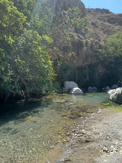 Trip to Kourtaliotiko Gorge and Preveli Beach - Choose the easier Preveli route or the stairs