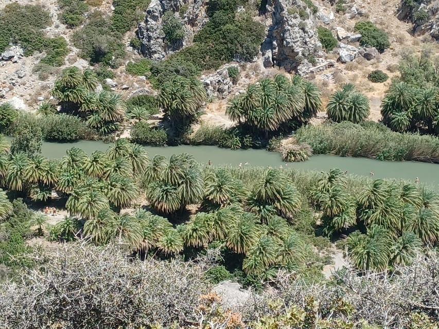 Trip to Kourtaliotiko Gorge and Preveli Beach - Preveli Beach combines sea, river, and palms