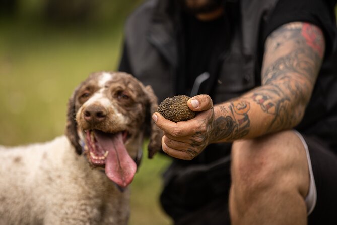Truffle Hunting at Meteora - Starting at the Mushroom Museum in Kalampaka
