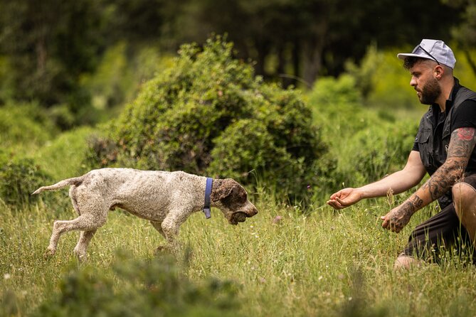 Truffle Hunting at Meteora - The Experience in About Three Hours