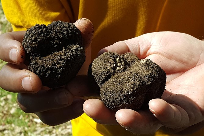 Truffle Hunting at Meteora - Who Will Enjoy This Most