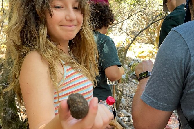 Truffle Hunting, Culinary & Wine Celebration from Heraklion - Krasi and the famous plateau windmills