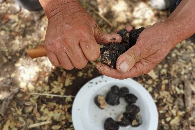 Truffle Hunting, Culinary & Wine Celebration from Heraklion - Dikteon Cave and the Minoan connection