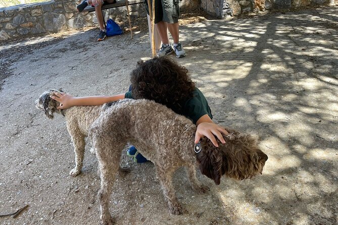Truffle Hunting, Culinary & Wine Celebration from Heraklion - Leaving Heraklion for the high country