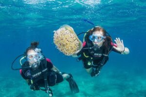 Try Scuba in Crete – Free Certification & Photos (Beginners) - Meeting point and transport: easier than you might fear