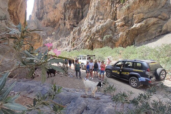Trypiti beach and gorge Jeep Safari - Price and logistics: how to judge the $111.31 price tag