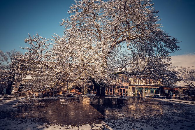 Tzoumerka villages tour (1 day) - Plaka Arched Bridge and a changing frontier
