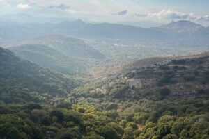 Unforgettable Naxos in 6 Hours: Villages, Tastings & Lunch - Limpertas Manolis Pottery in Damala: Watch the Craft Up Close
