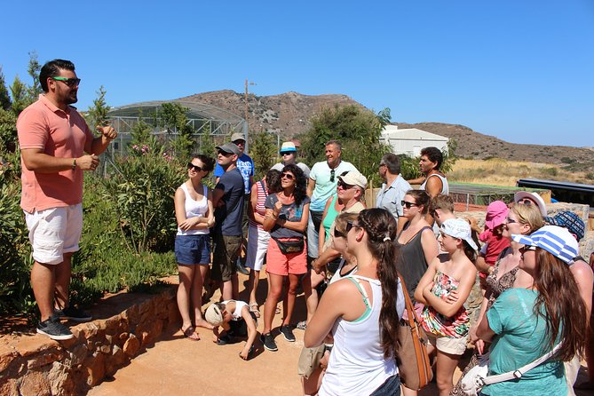 Unknown East - Agios Nikolaos Kritsa and Amazonas Park - What the coach ride means for your day