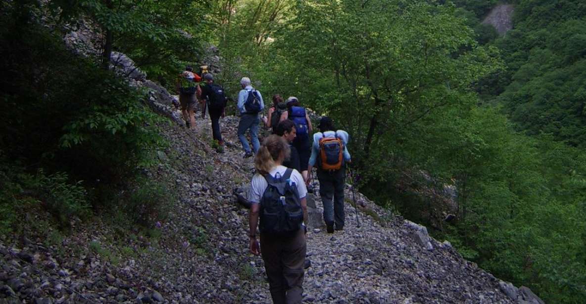 Vikos Gorge Full-Day Guided Hike - Key points to know before you book