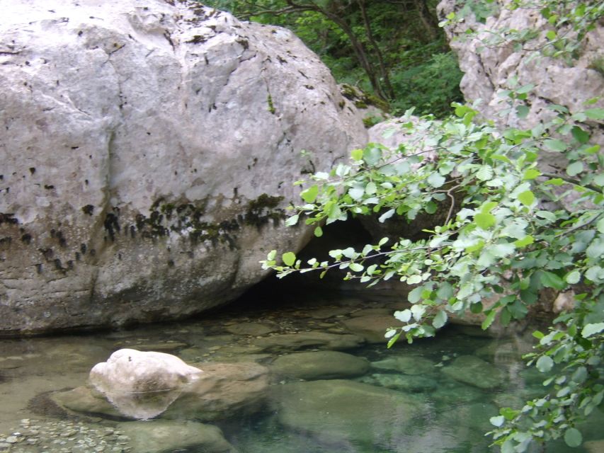 Vikos Gorge Full-Day Guided Hike - Following the Voidomatis River