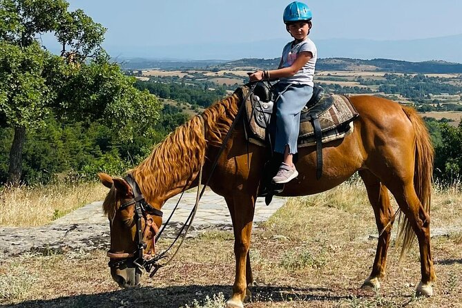 Visit a Farm and Horseback Riding in Nature - Key points at a glance