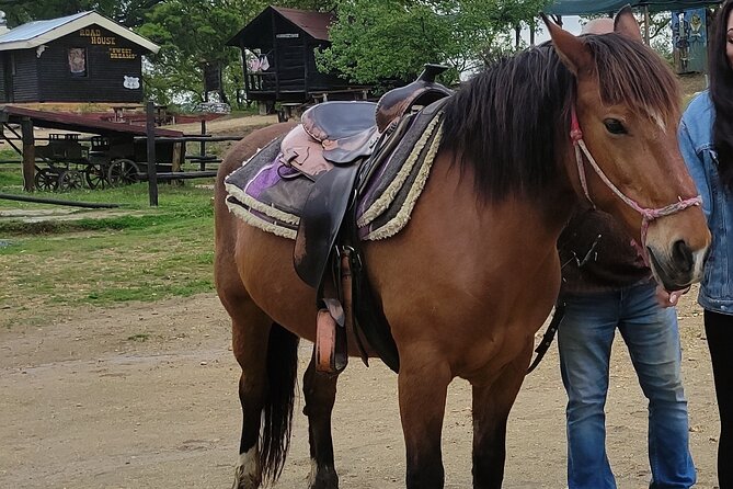 Visit a Farm and Horseback Riding in Nature - Leaving Thessaloniki for a quieter afternoon