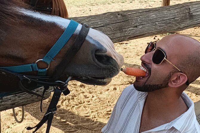 Visit a Farm and Horseback Riding in Nature - A possible coffee stop and the rhythm of the afternoon