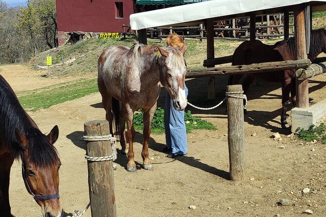 Visit a Farm and Horseback Riding in Nature - Weather, cancellations, and useful planning notes