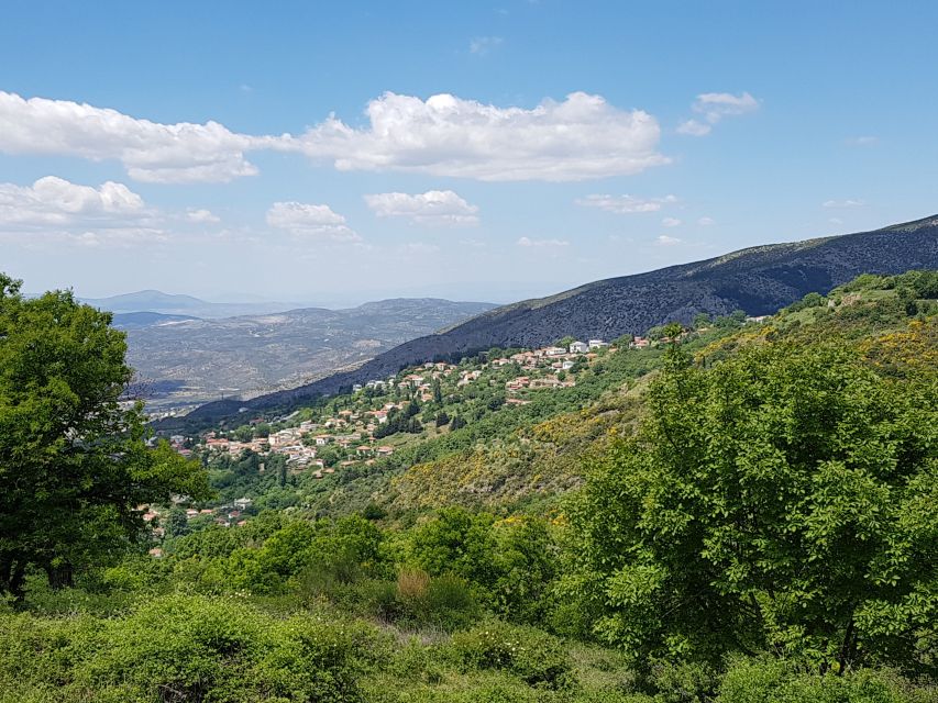 Volos: Cook Like a Local at a Greek Farm - Starting at Karaiskos Farm near Portaria