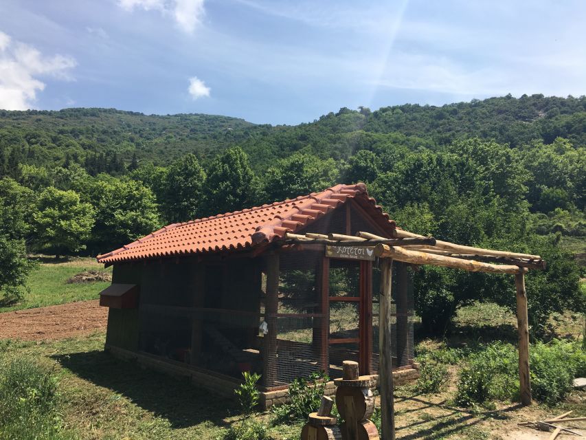 Volos: Cook Like a Local at a Greek Farm - Sitting down to eat what you cooked