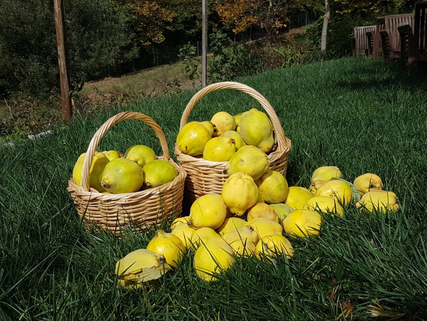 Volos: Cook Like a Local at a Greek Farm - Small gifts at the end