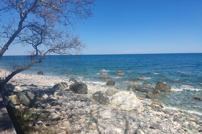 Volos Pelion Full Day Tour - Milies: railway paths, the de Kiriko bridge, and village life