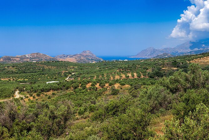 Wine, Beer, Olive Oil Tasting Private Tour (price per group of 6) - Timing, season, and the practical details