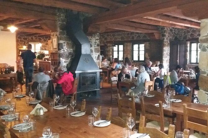 Wine & Olive Oil Tour with Lunch at Milia Mountain Retreat - Price and Value: Is $181.48 Worth It?