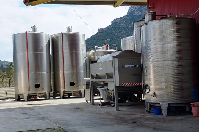 Wine Roads Private Day Tour: Corinth - Ancient Nemea & Wine Tasting - The return along the Peloponnese coast